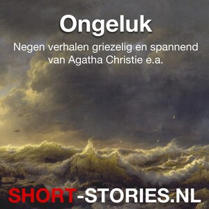 Ongeluk - luisterboek