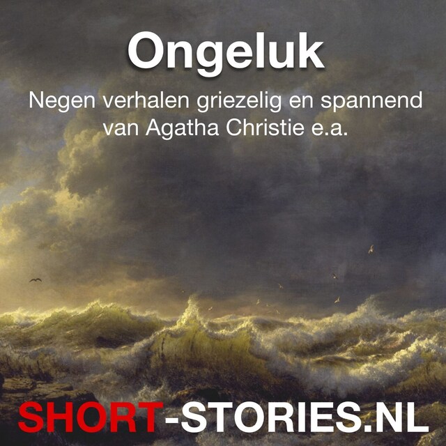 Book cover for Ongeluk
