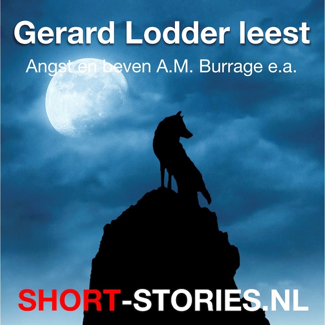 Boekomslag van Gerard Lodder leest