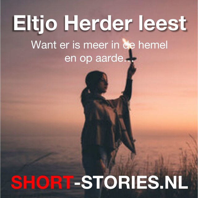 Book cover for Eltjo Herder leest