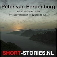 Peter van Eerdenburg