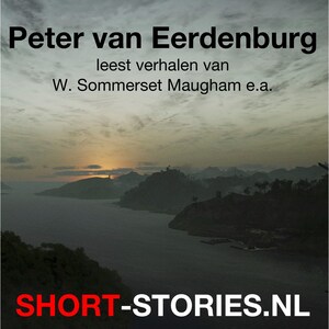 Peter van Eerdenburg - luisterboek