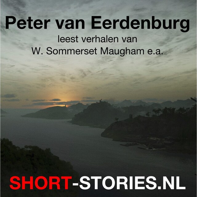 Bogomslag for Peter van Eerdenburg