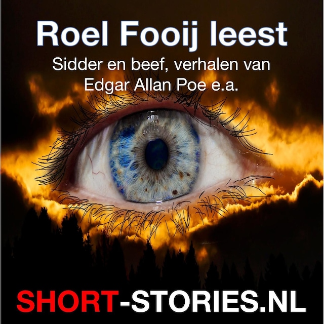 Book cover for Roel Fooij leest