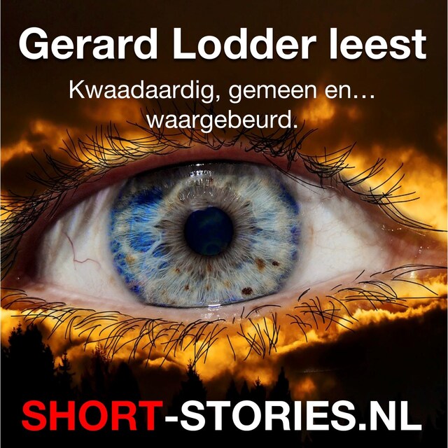 Copertina del libro per Gerard Lodder leest