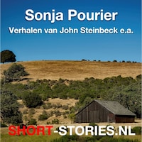 Verhalen van John Steinbeck e.a.