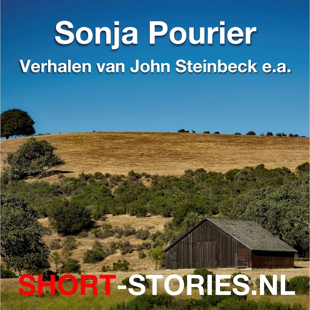 Copertina del libro per Verhalen van John Steinbeck e.a.