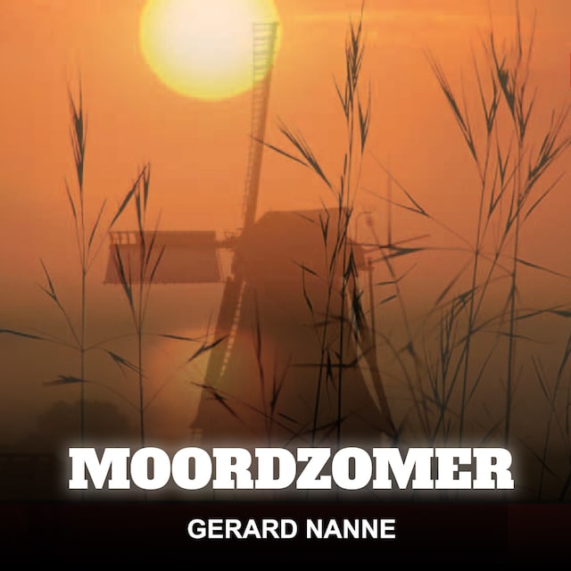 Book cover for Moordzomer