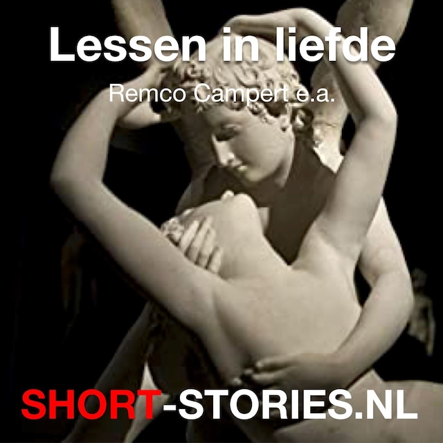 Book cover for Lessen in liefde