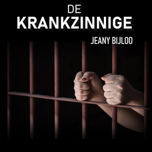 De krankzinnige - luisterboek