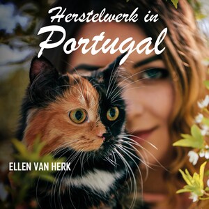 Herstelwerk in Portugal - luisterboek