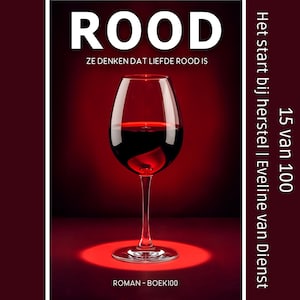 Het start bij herstel - luisterboek