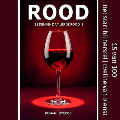 Het start bij herstel - luisterboek