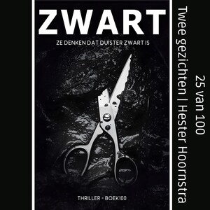 Twee gezichten - luisterboek