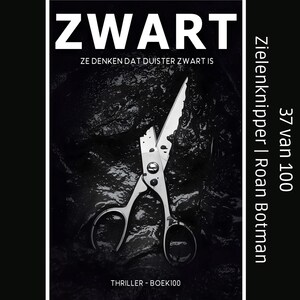 Zielenknipper - luisterboek
