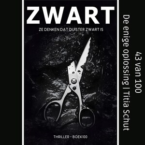 De enige oplossing - luisterboek