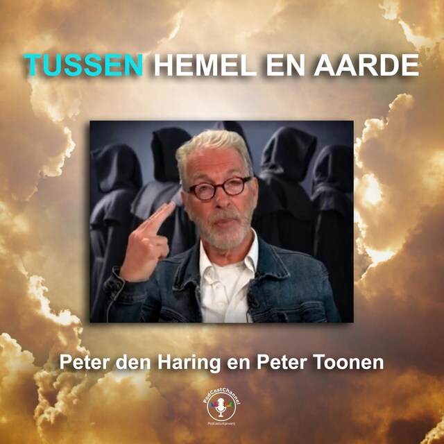 Buchcover für Peter den Haring en Peter Toonen