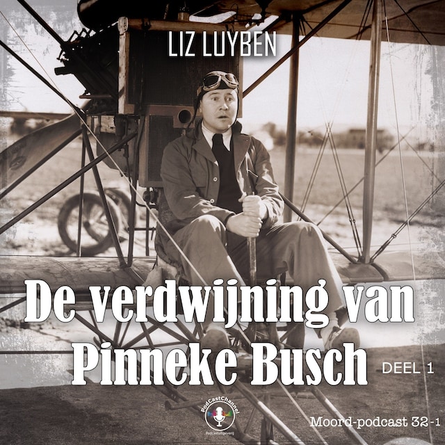 Okładka książki dla De verdwijning van Pinneke Busch Deel 1