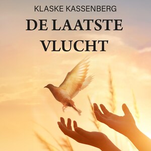 De laatste vlucht - luisterboek