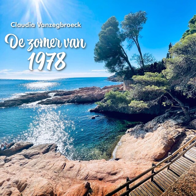 Copertina del libro per De zomer van 1978