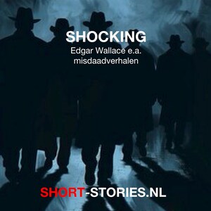 Shocking - luisterboek
