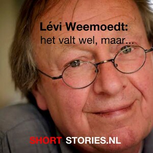 Het valt wel maar... - luisterboek