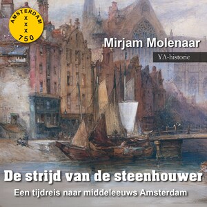 De strijd van de steenhouwer - luisterboek