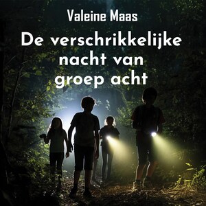 De verschrikkelijke nacht van groep acht - luisterboek