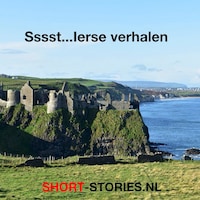 Sssst...Ierse verhalen