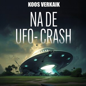 Na de UFO-crash - luisterboek