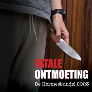 Fatale ontmoeting - luisterboek