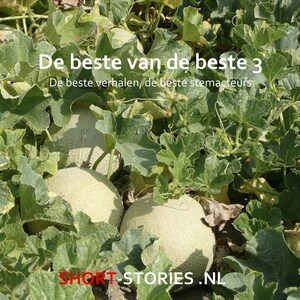 De beste van de beste 3 - luisterboek
