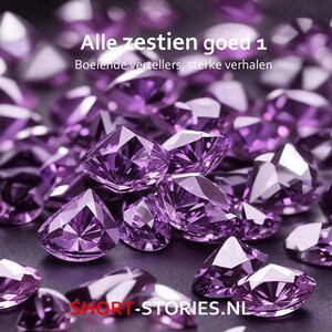 Alle zestien goed 1 - luisterboek