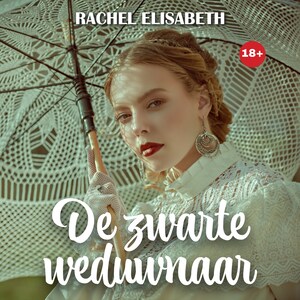 De zwarte weduwnaar - luisterboek
