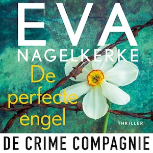 De perfecte engel - luisterboek
