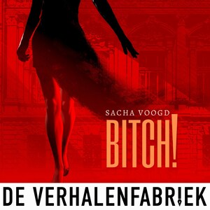 Bitch - luisterboek