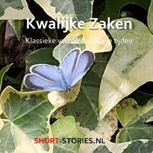 Kwalijke zaken - luisterboek