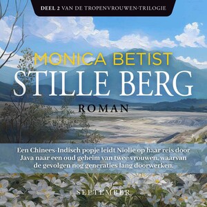 Stille berg - luisterboek