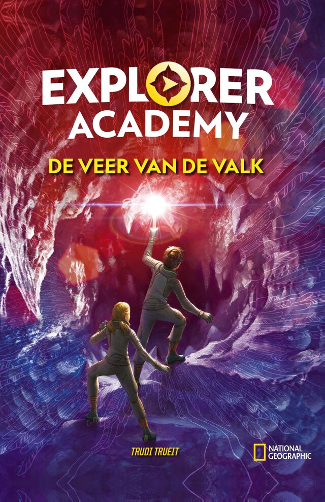 Book cover for De veer van de valk