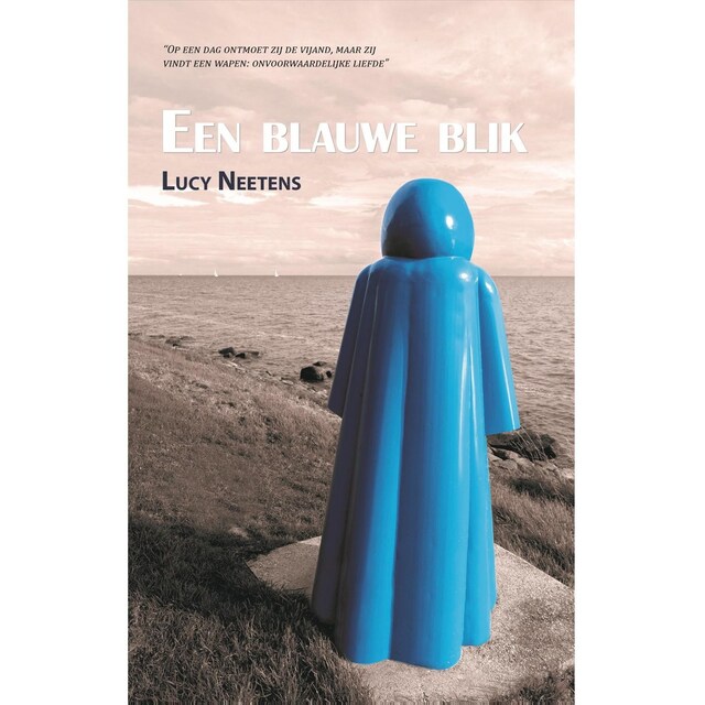 Book cover for Een blauwe blik