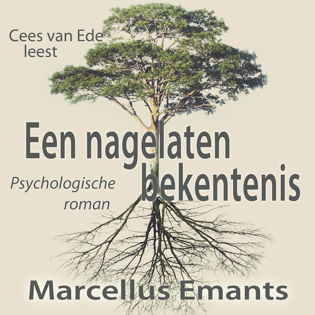 Een nagelaten bekentenis