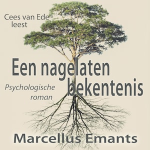 Een nagelaten bekentenis - luisterboek