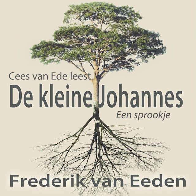 Book cover for De kleine Johannes