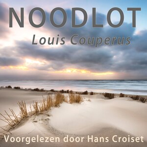 Noodlot - luisterboek