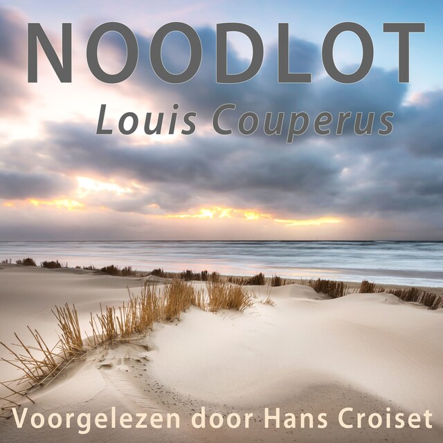 Book cover for Noodlot