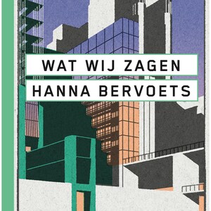 Wat wij zagen - luisterboek
