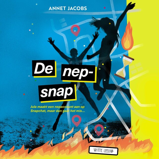 Boekomslag van De nepsnap