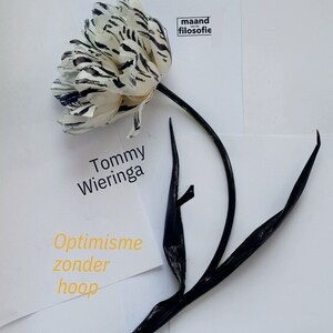 Optimisme zonder hoop - luisterboek