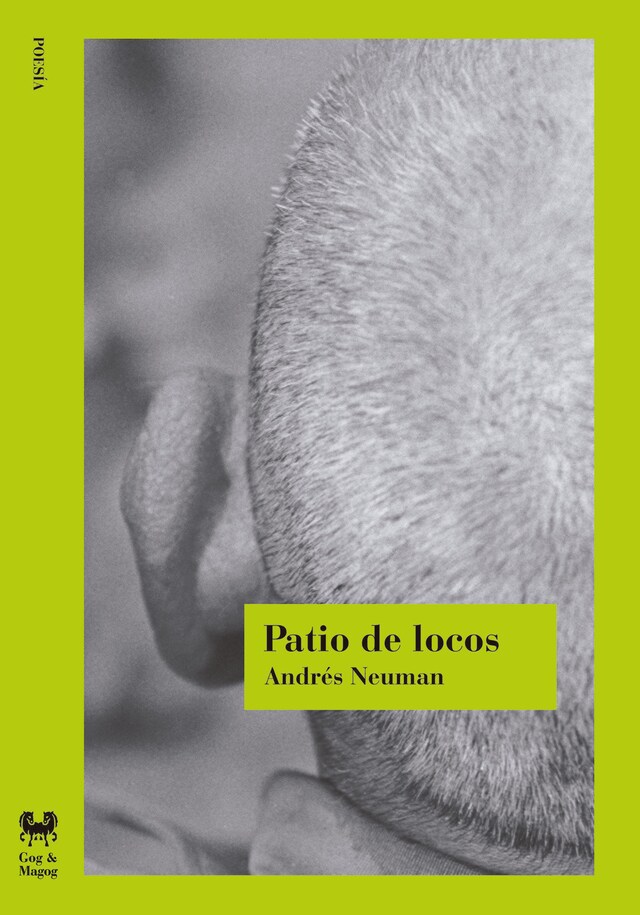 Book cover for Patio de locos