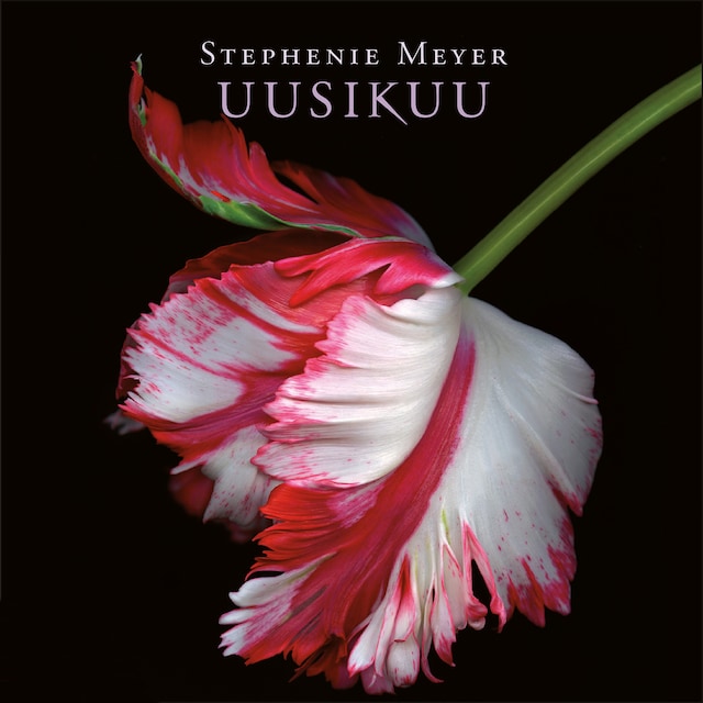 Book cover for Uusikuu